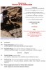 Programme séminaire Histoire de la construction 9 janvier 2017