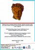 Conférence du 18 mai 2017